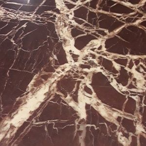 Meet your Posher, Tia